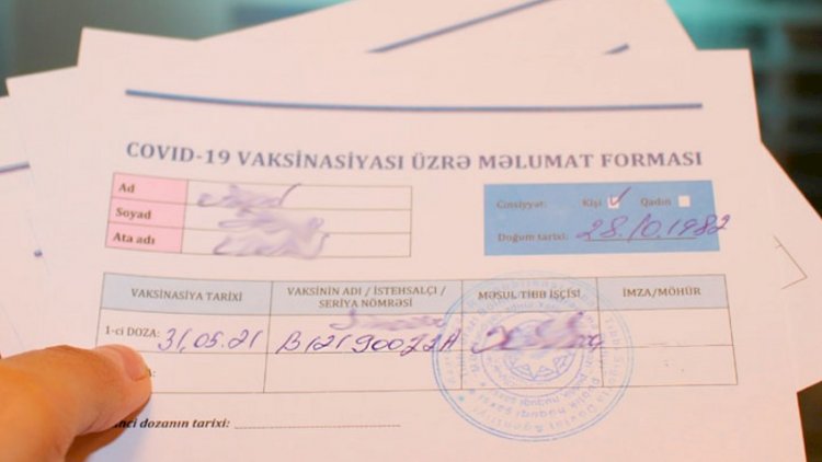 “Saxta COVID-19 pasportu hazırlayan şəxslər cəzalandırılacaq” - Deputat | KONKRET