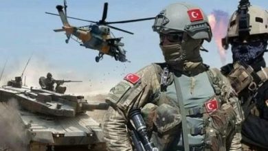 Türkiyə hərbçiləri terrorçuları zərərsizləşdirdi